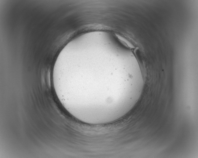 X0000054370014200508262353