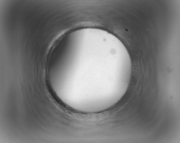 X0000054370015200508262353