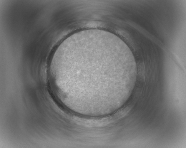 X0000054370016200508262353