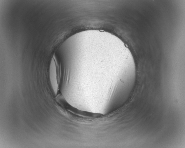 X0000054370017200508262353