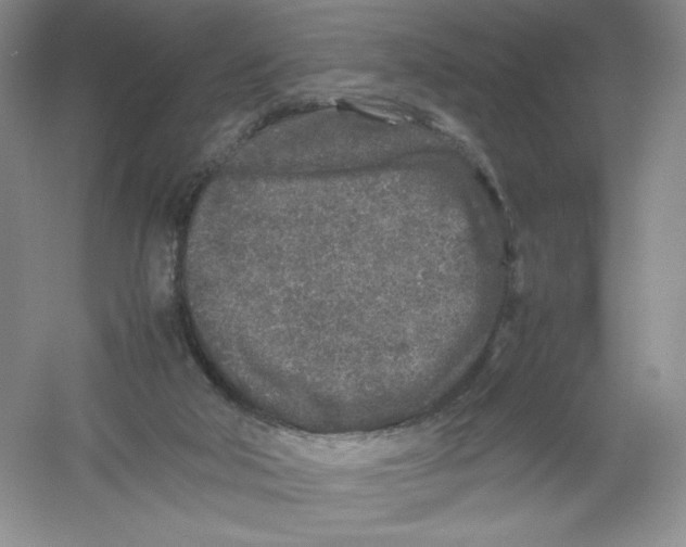 X0000054370018200508262353