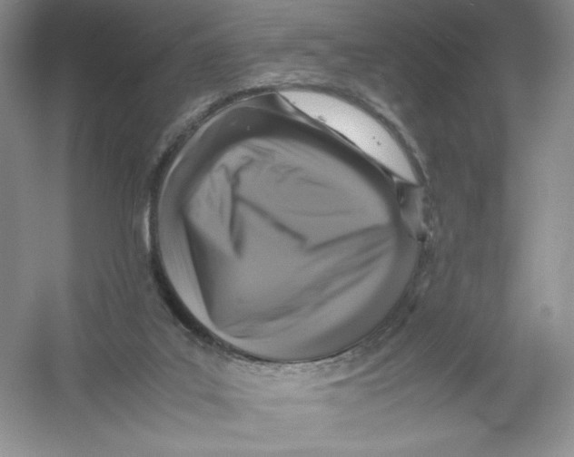 X0000054370019200508262353