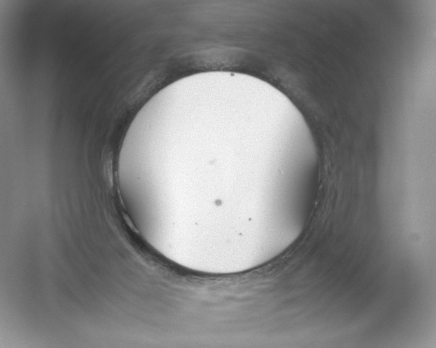 X0000054370021200508262353