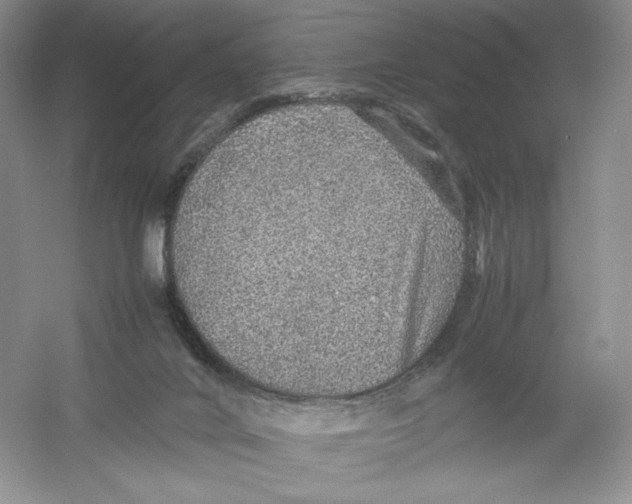 X0000054370024200508262353