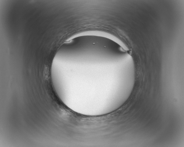 X0000054370025200508262353