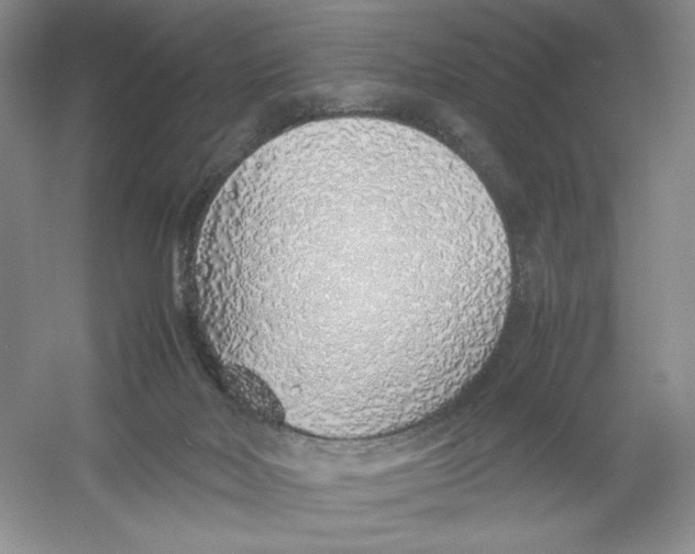 X0000054370026200508262353