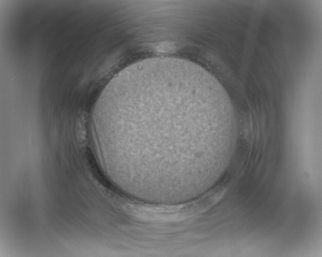 X0000054370032200508262353