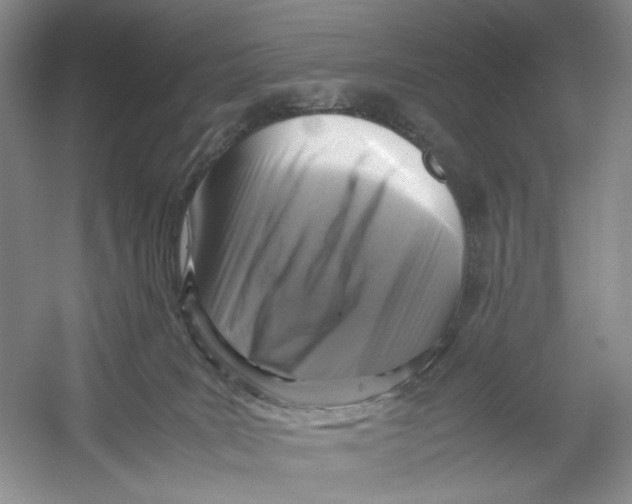 X0000054370035200508262353