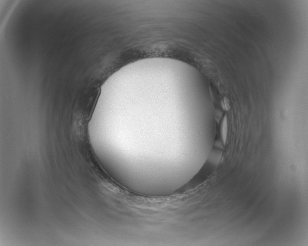 X0000054370037200508262353