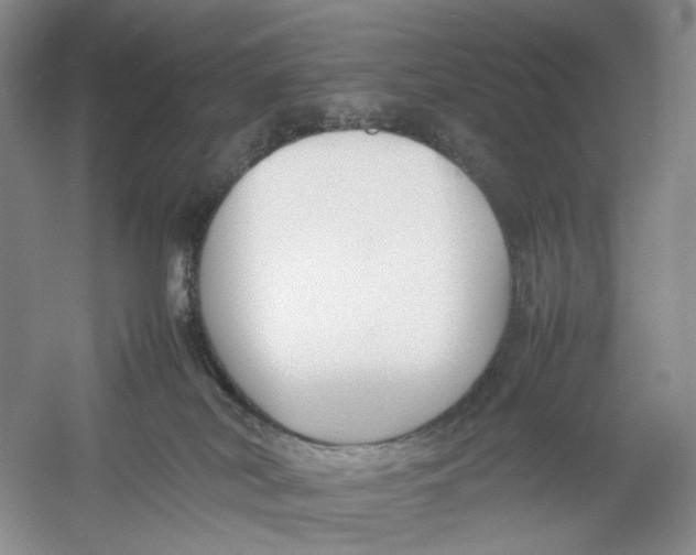 X0000054370038200508262353