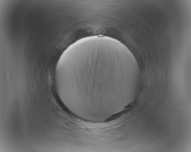 X0000054370039200508262353