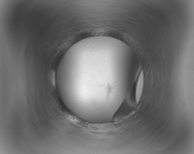 X0000054370041200508262353