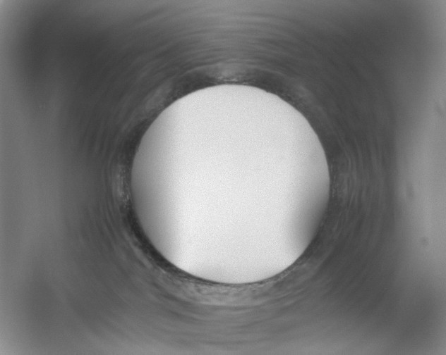 X0000054370044200508262353