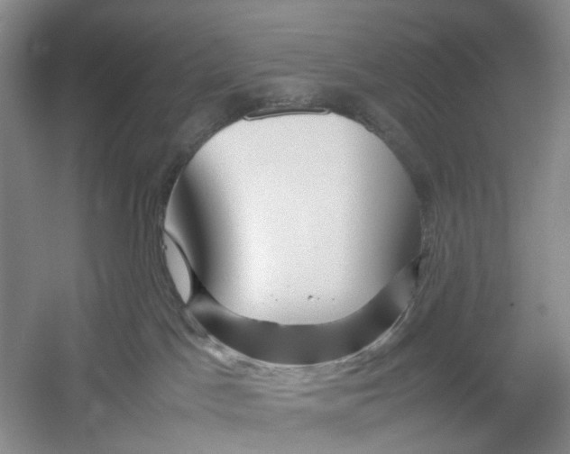 X0000054370045200508262353