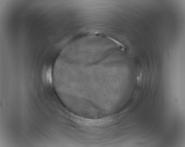 X0000054370046200508262353