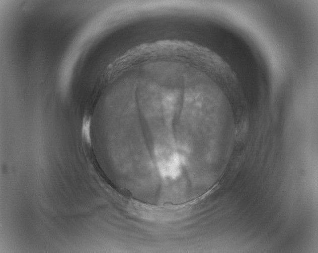 X0000054370047200508262352