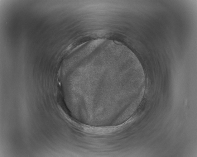 X0000054370048200508262352