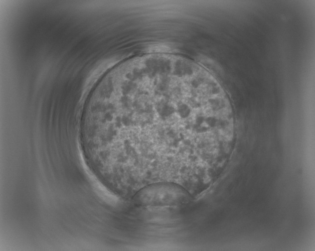 X0000054370049200508262352