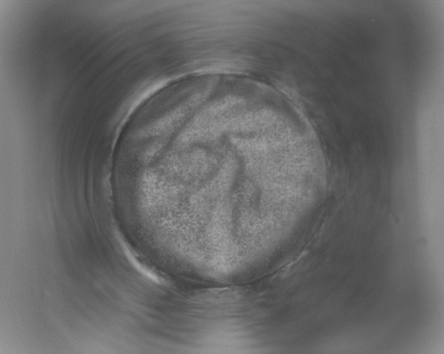 X0000054370050200508262352