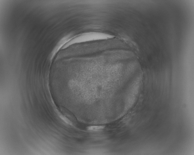 X0000054370051200508262352