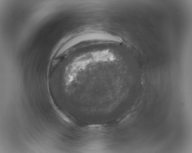 X0000054370052200508262352