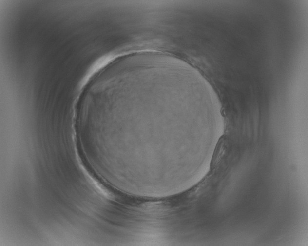 X0000054370054200508262352