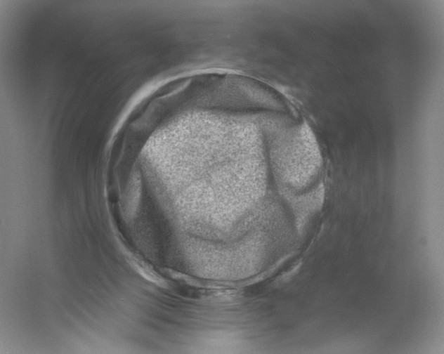 X0000054370056200508262352