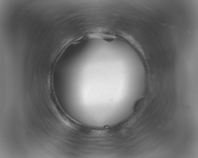 X0000054370057200508262352