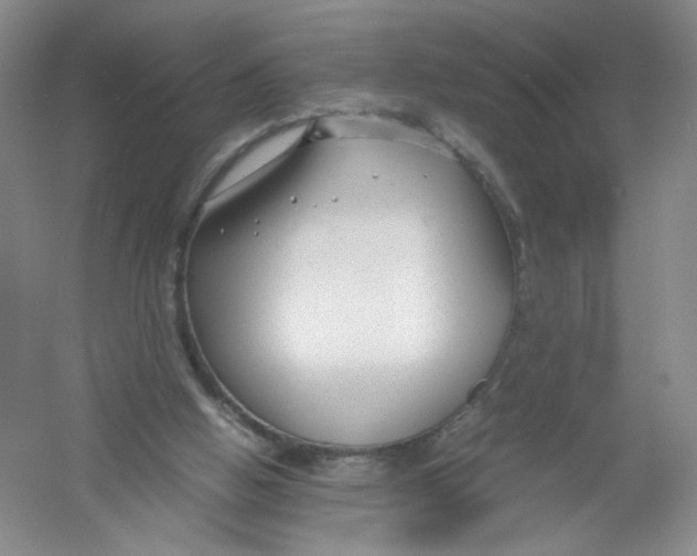 X0000054370058200508262352