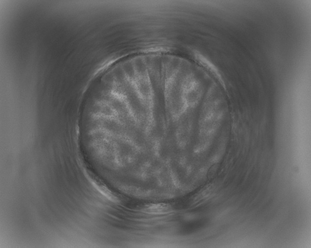 X0000054370059200508262352