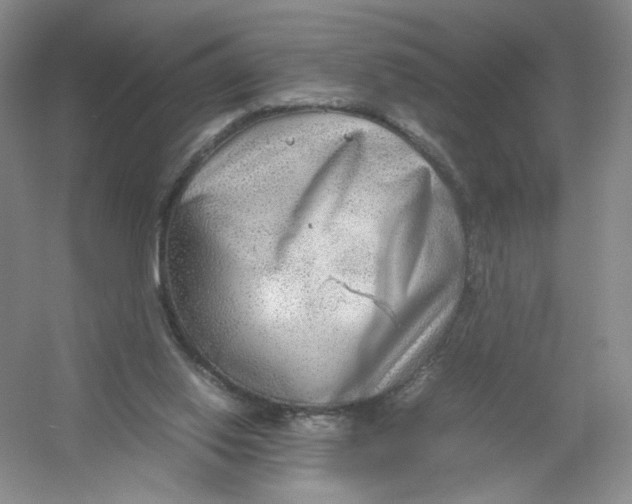 X0000054370062200508262352