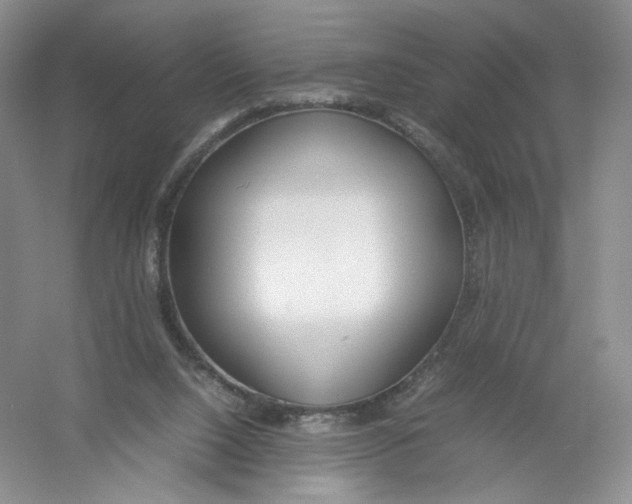 X0000054370064200508262352