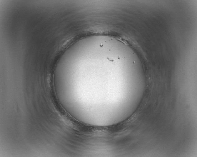 X0000054370066200508262352