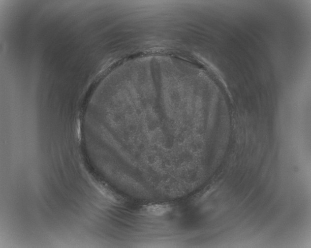 X0000054370067200508262352