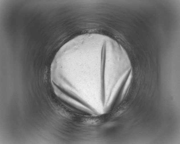 X0000054370073200508262352