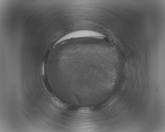 X0000054370076200508262352