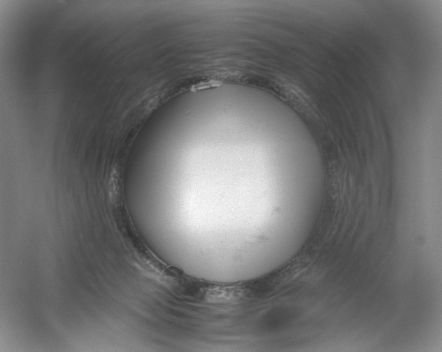 X0000054370077200508262352