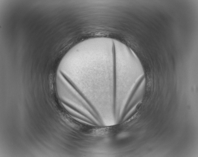 X0000054370078200508262352