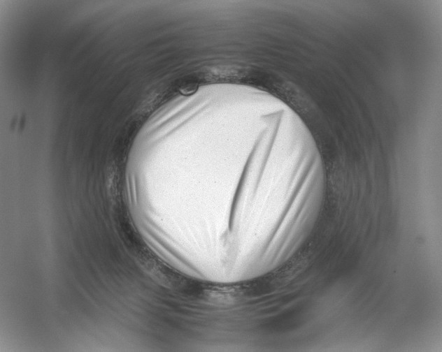 X0000054370079200508262352