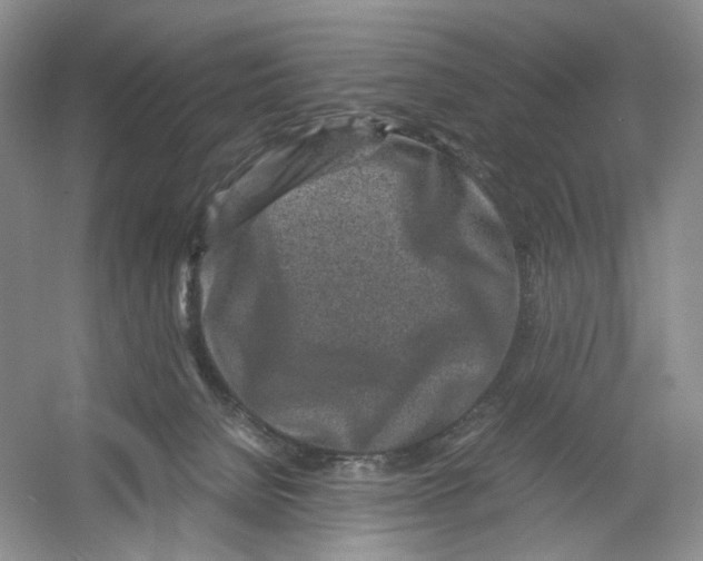 X0000054370080200508262352