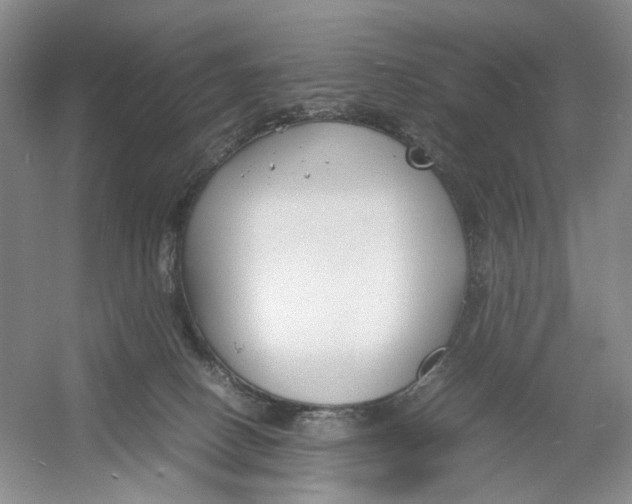 X0000054370082200508262352