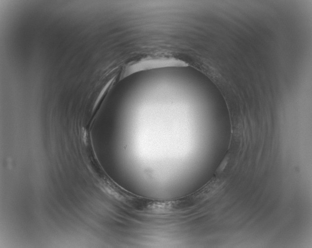 X0000054370084200508262352