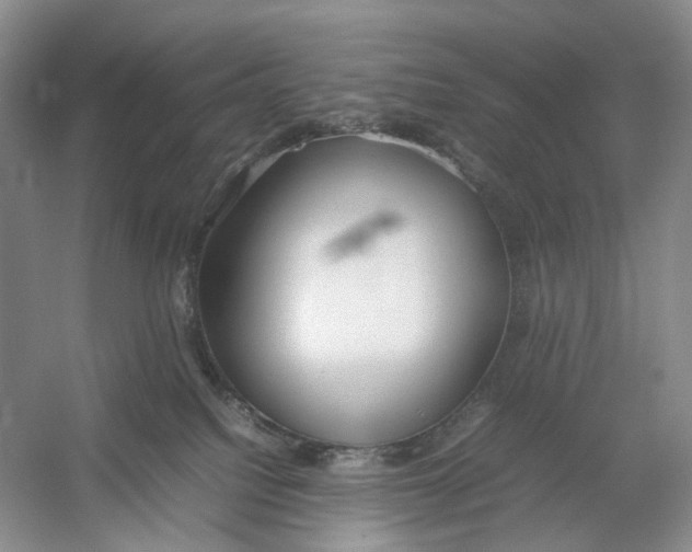 X0000054370088200508262352