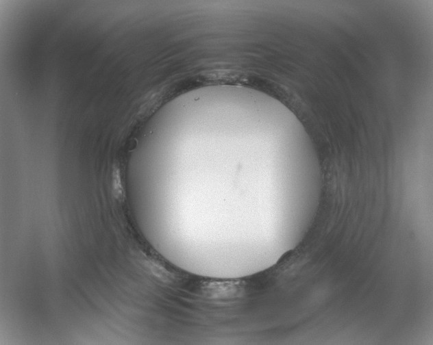 X0000054370089200508262352