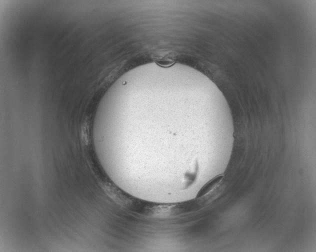 X0000054370090200508262352