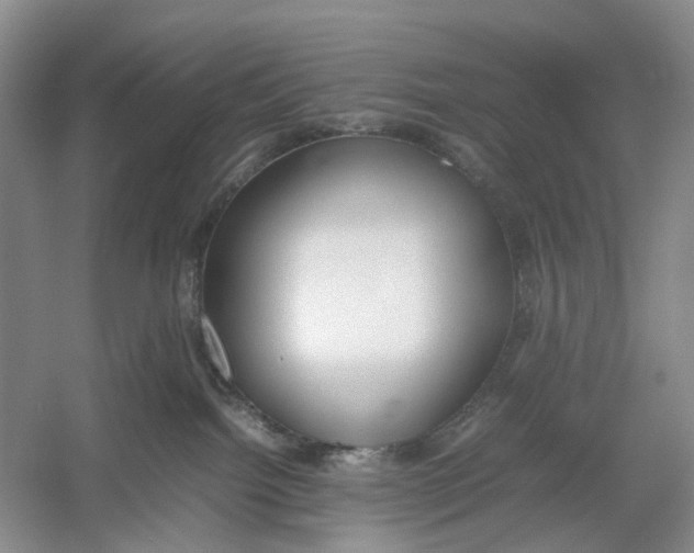 X0000054370092200508262352