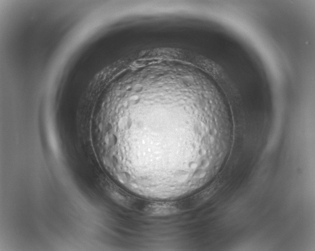 X0000054370093200508262352