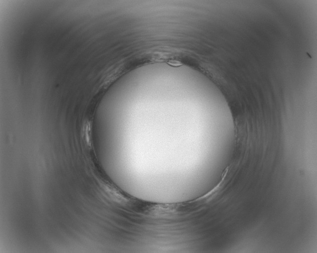 X0000054370094200508262352