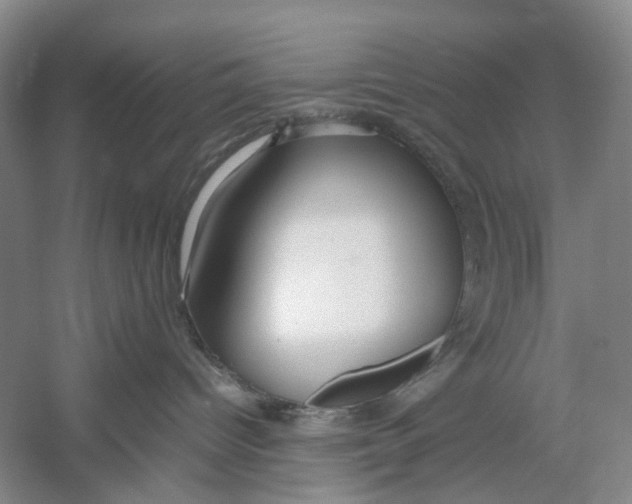 X0000054370096200508262352