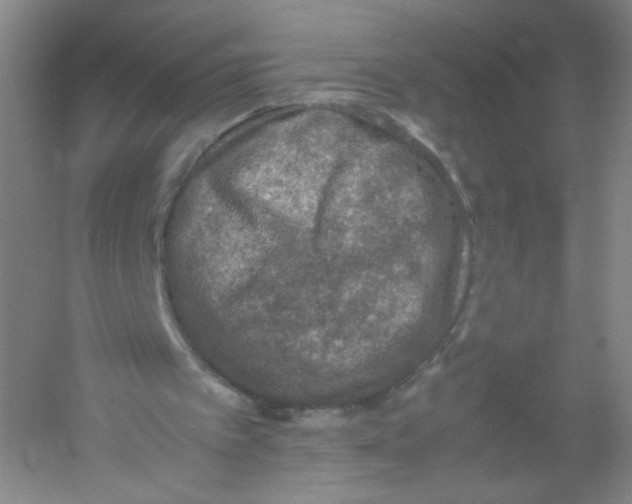 X0000054370097200508262352